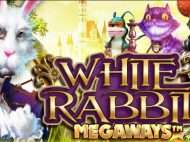 White Rabbit